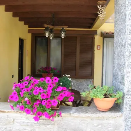 La Stella Mercallo